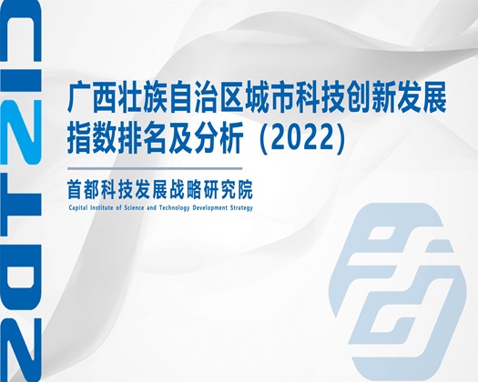 啊啊肏深了【成果发布】广西壮族自治区城市科技创新发展指数排名及分析（2022）